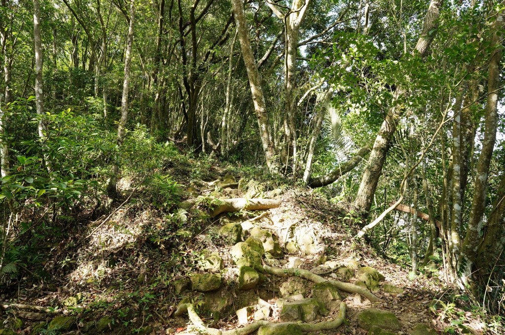 新竹 關西玉山、赤柯山、東獅頭山、西獅頭山、馬福山_2665906
