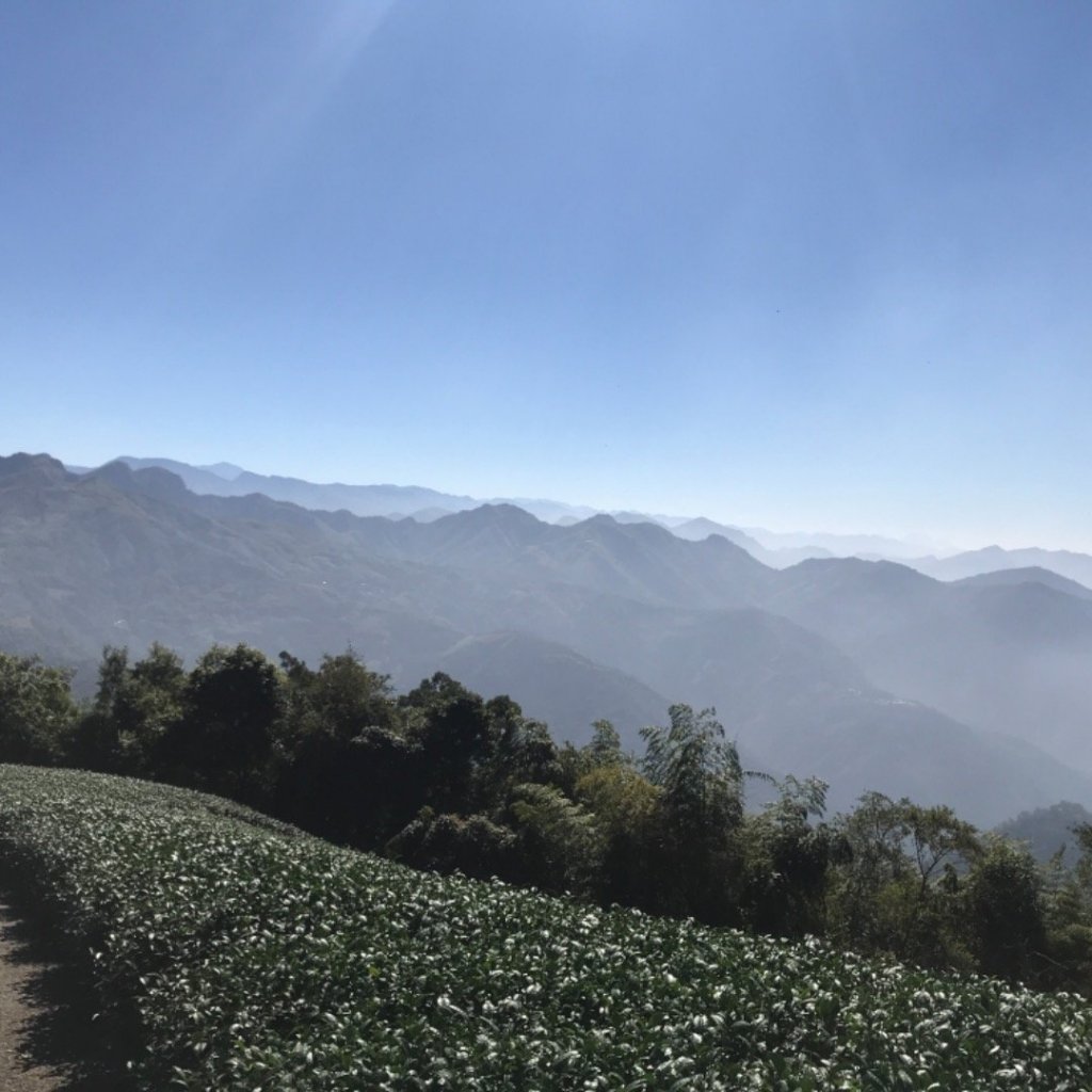 樟腦寮車站上獨立山奉天岩泡茶煮泡麵大巃頂看群峰美景_469969