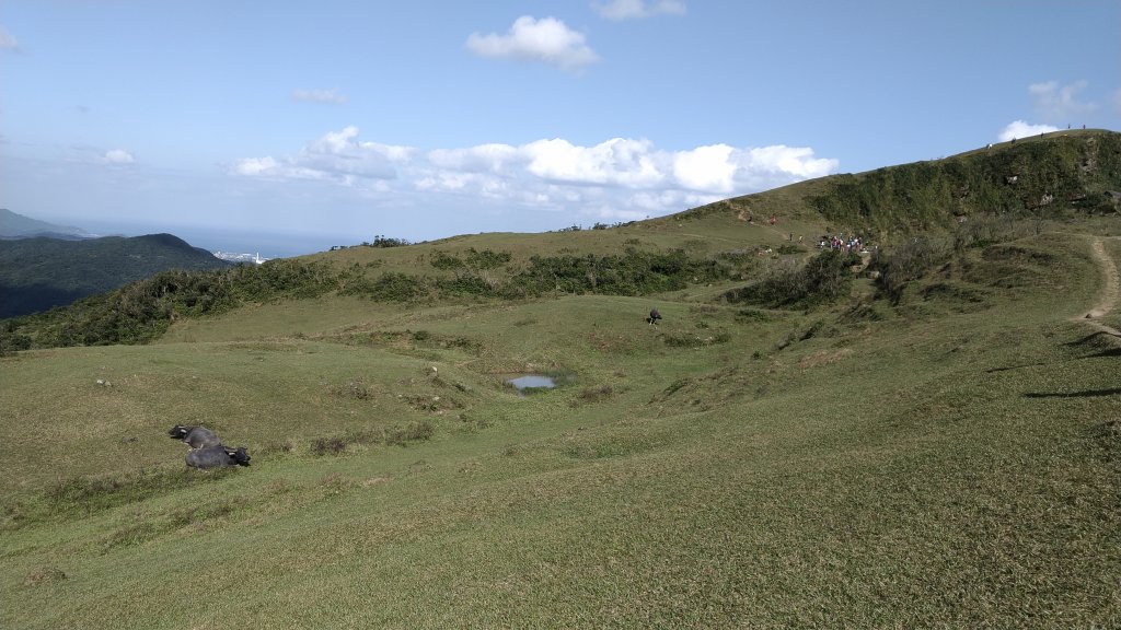 20191208 桃源谷步道(灣坑頭山)_817703