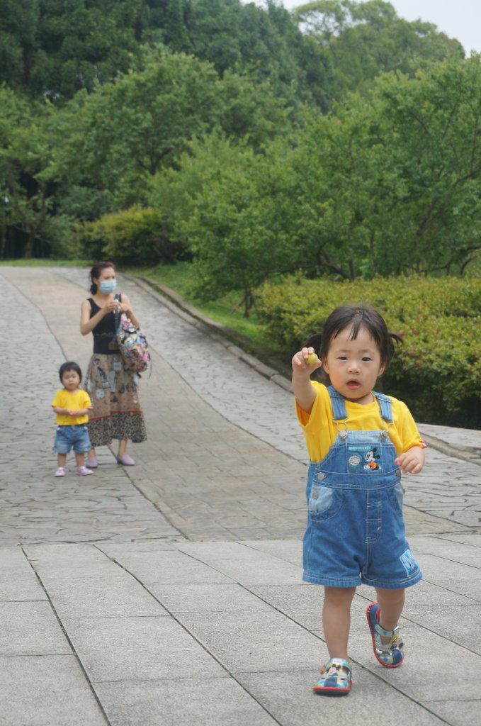 在角板山追逐梅花和櫻花的蹤跡_1453411