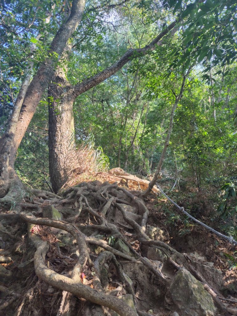 唐麻丹山 蝴蝶谷_2918998