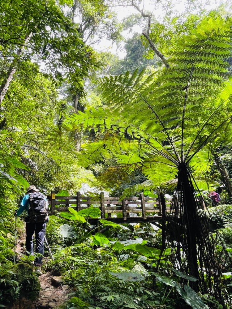 1130928。1010五指山｜拇指峰-食指峰-中指峰-無名指峰-小指峰_2612402