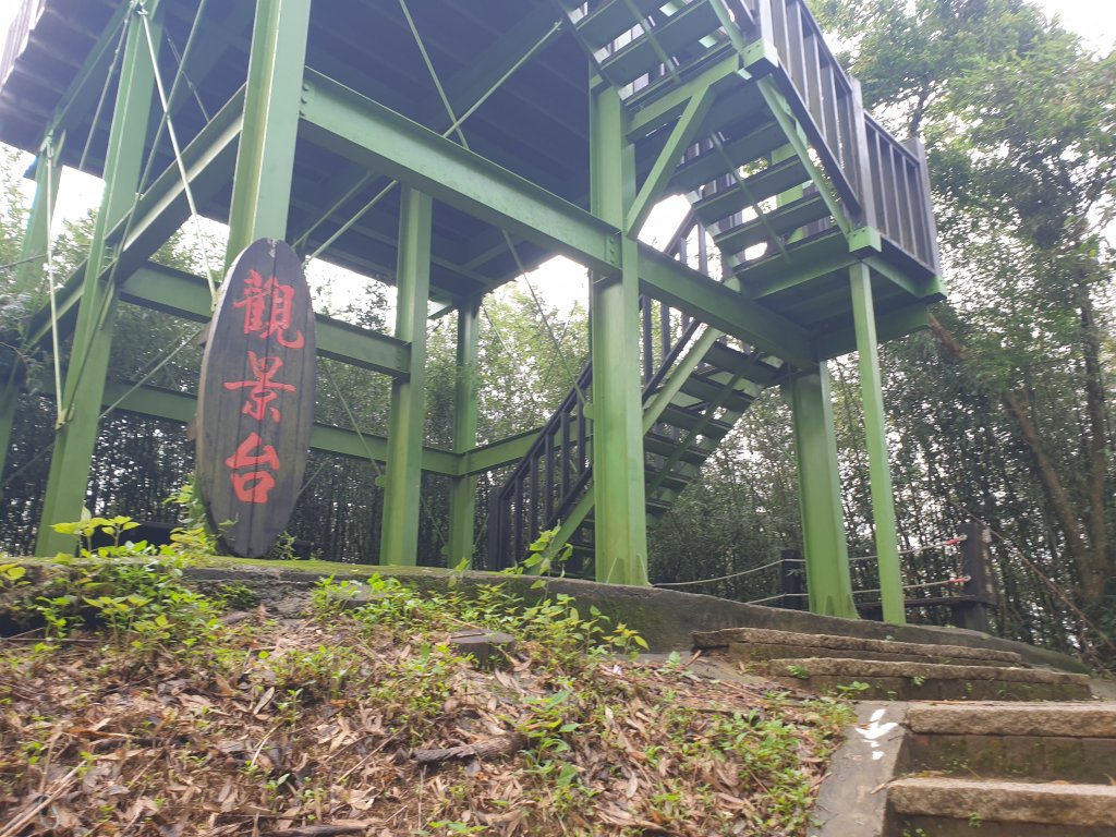 20220528剛下過雨被蚊子叮得慘兮兮的劍潭古道_1734531