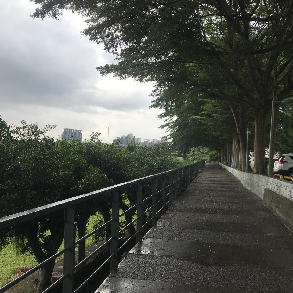 《台北大穀東+尋寶趣》象山、信義區、松菸_2237773