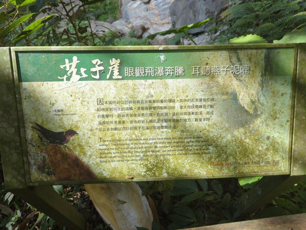 2023.01.22－嘉義瑞里蝙蝠洞_2013524