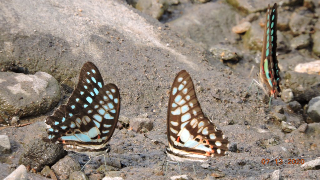 就是喜歡這個藍天白雲的FU_1032084
