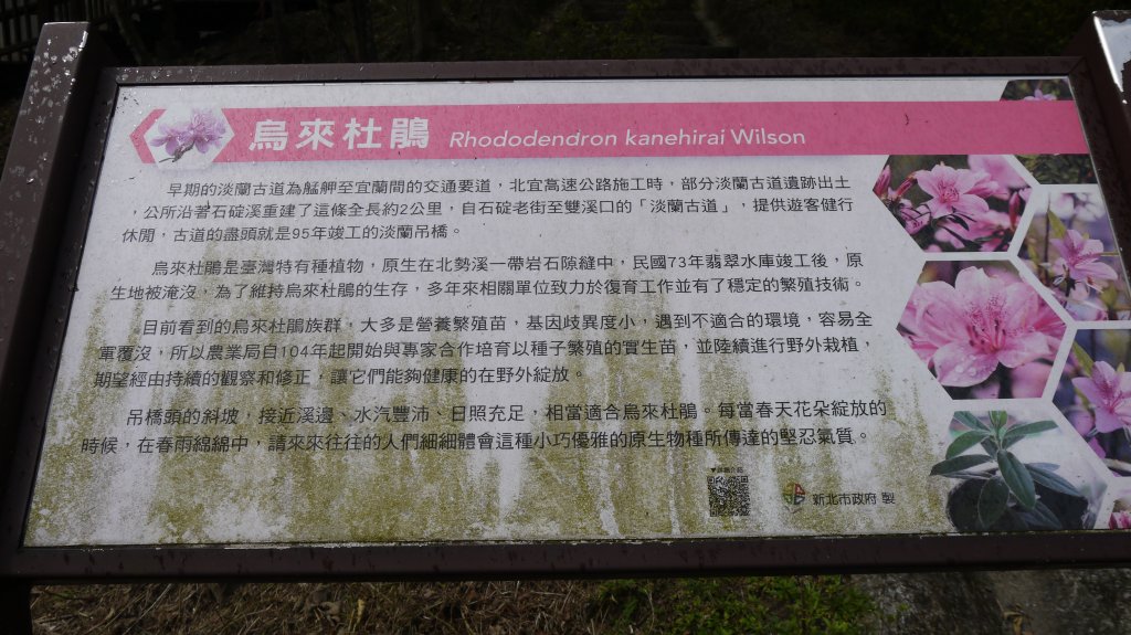 外按古道登山健行趣(淡蘭南路TK3-3)_2268939