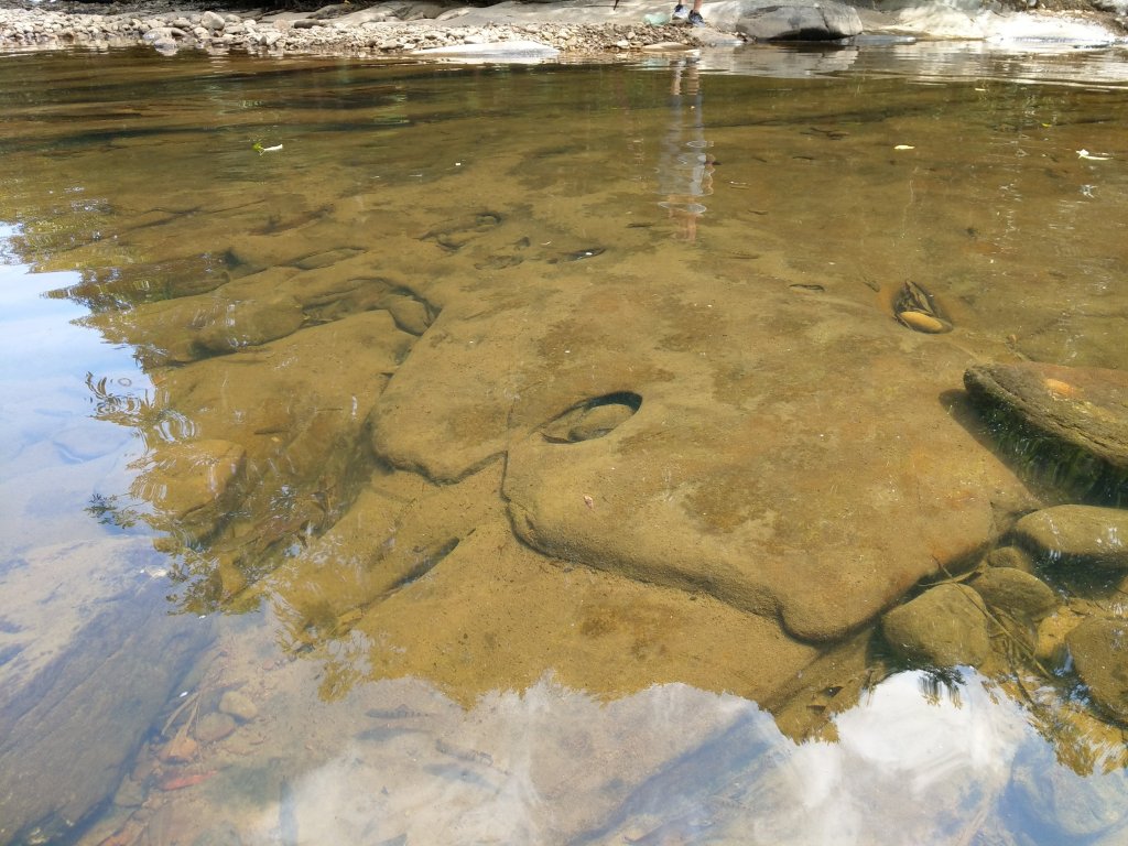 2020-07-05_虎豹潭古道8字行_1028130