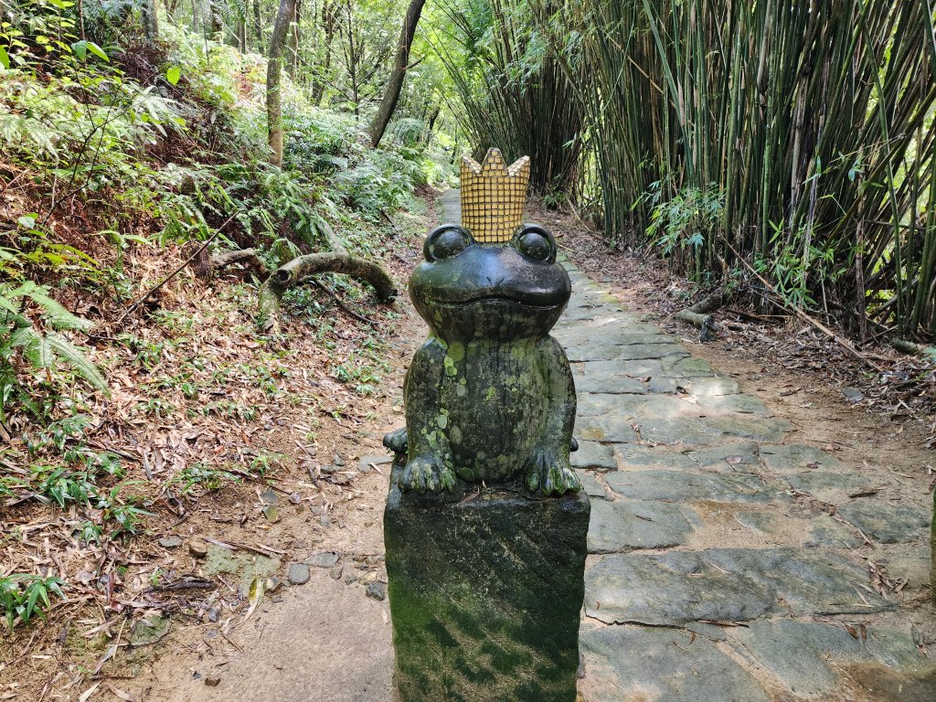 小百岳No.8⛰大崙頭山封面圖