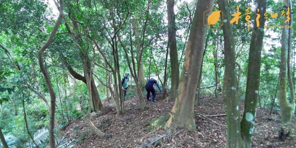 樟之細路 | 08/24砍草任務_658027