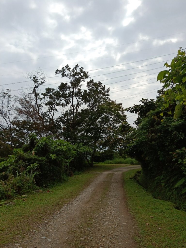 步道巡訪員│佐倉步道2月巡訪日誌_819687