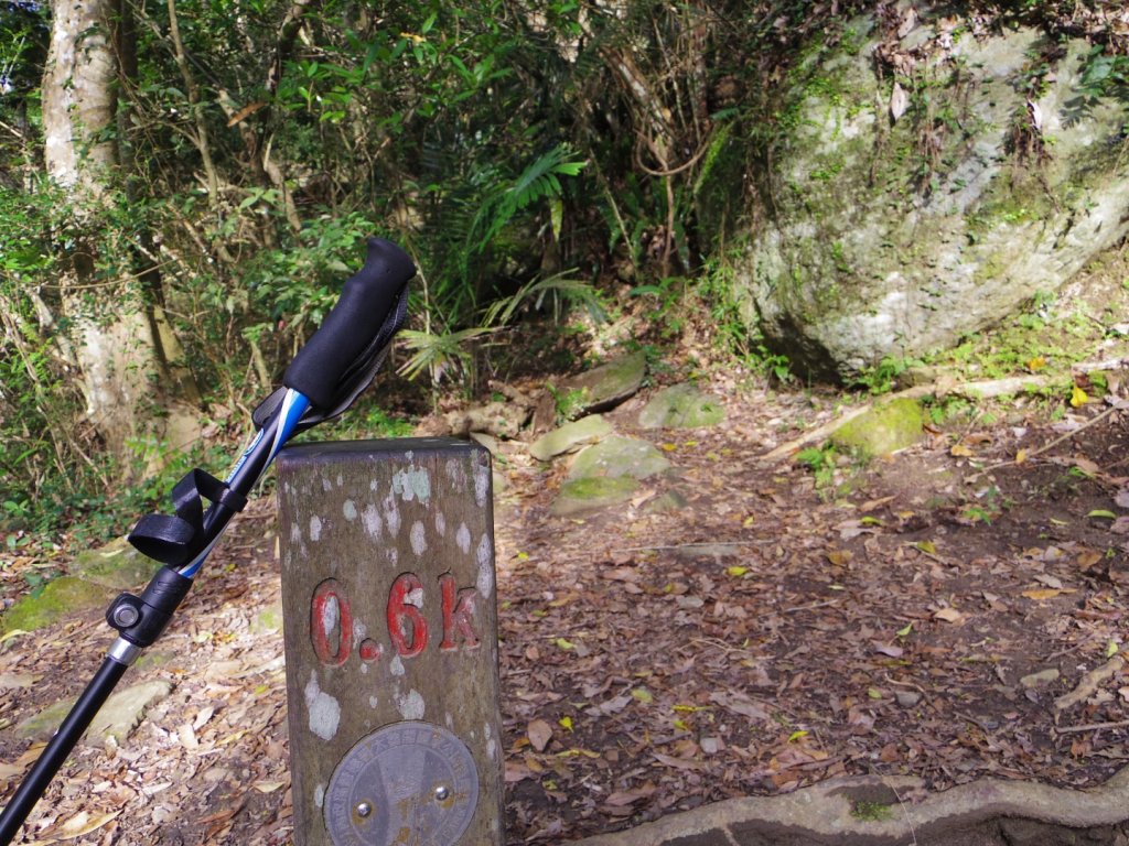 追憶 錐麓古道_2481971