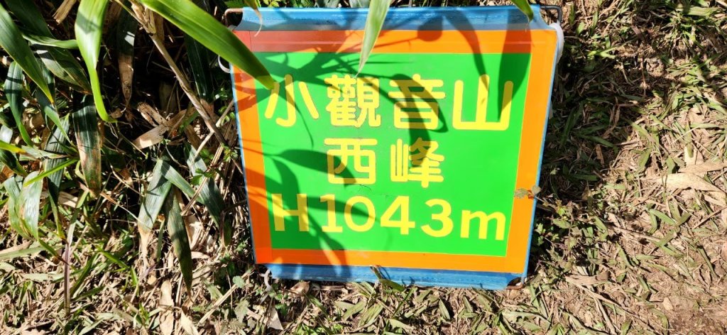 【中級山】台北版抹茶山竟然有免申請路線，小觀音山西峰單攻，順遊頂湖海芋步道，竹子湖黑森林_2742400