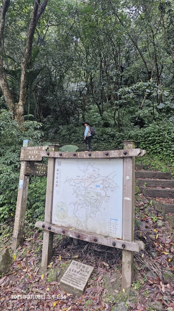 台北大縱走第七段_2733879