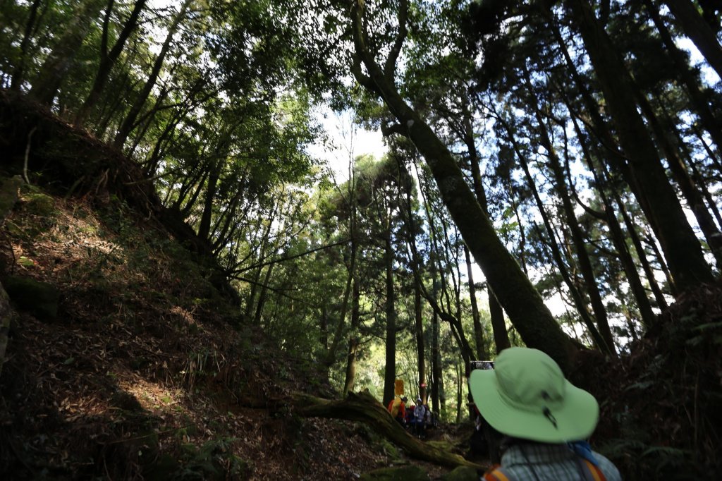 水樣森林 第一次在山裡過夜_659005