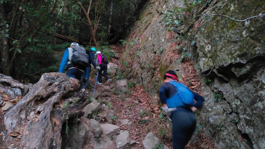 波鞍船稍G屋東封面圖