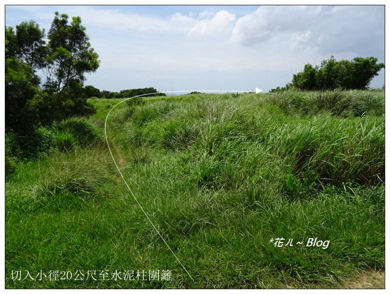 竹坑山/百合花之旅_635405