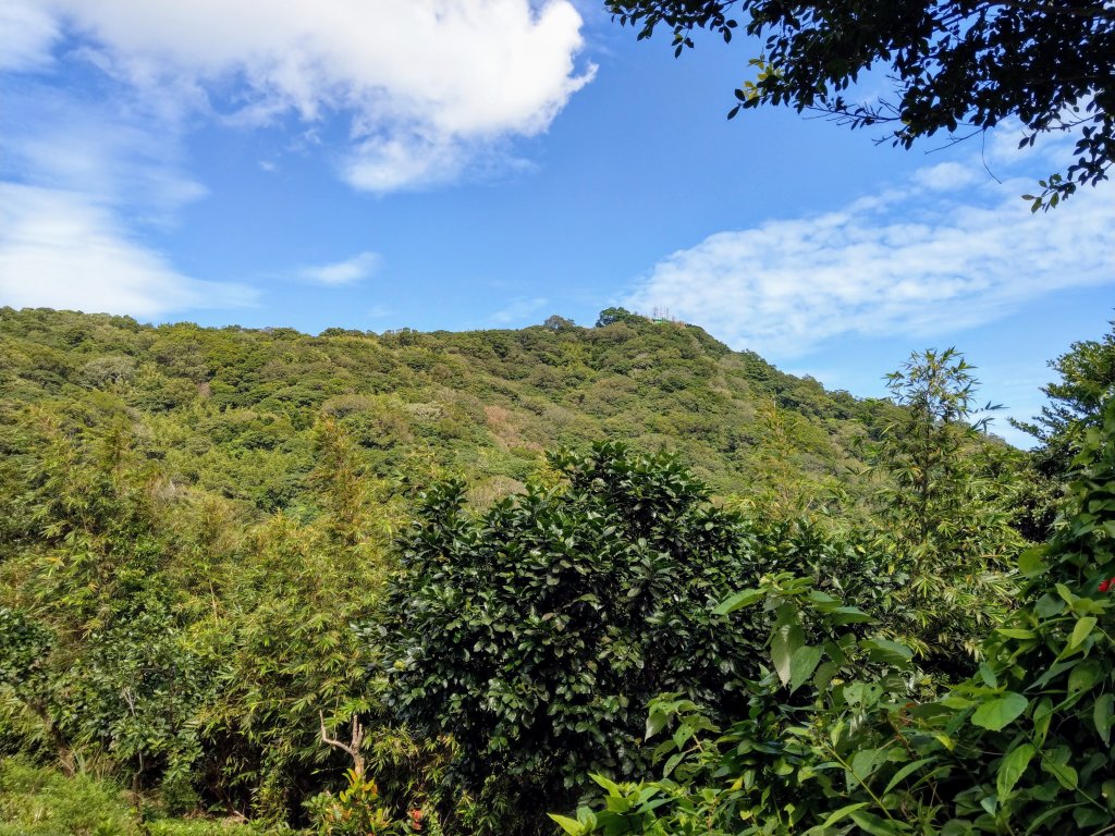 晴空萬里的硬漢嶺步道(觀音山)、凌雲寺往返＋原始土石山徑_1489148