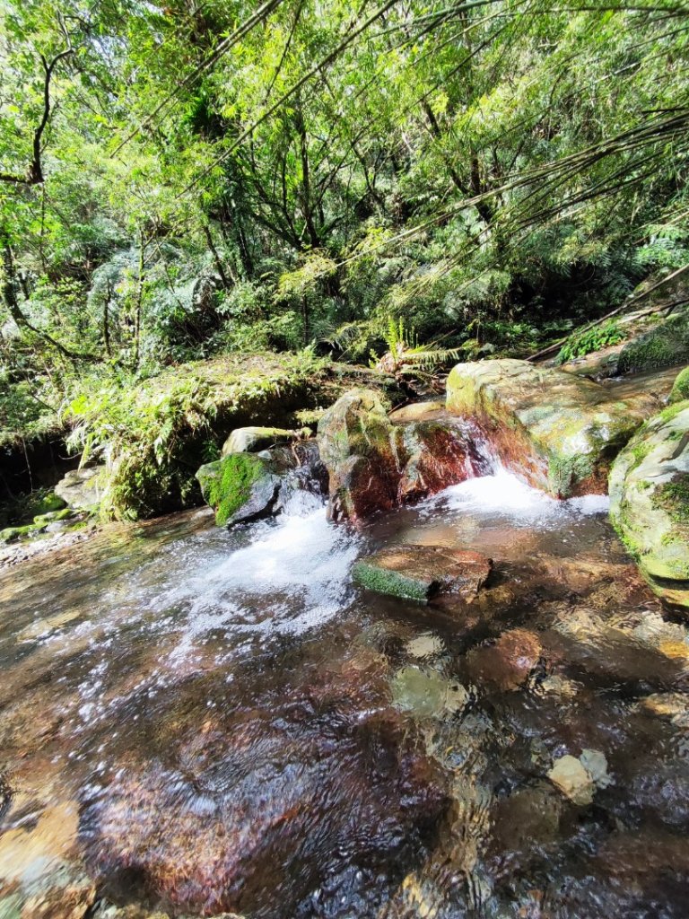 淡蘭南路4+5封面圖