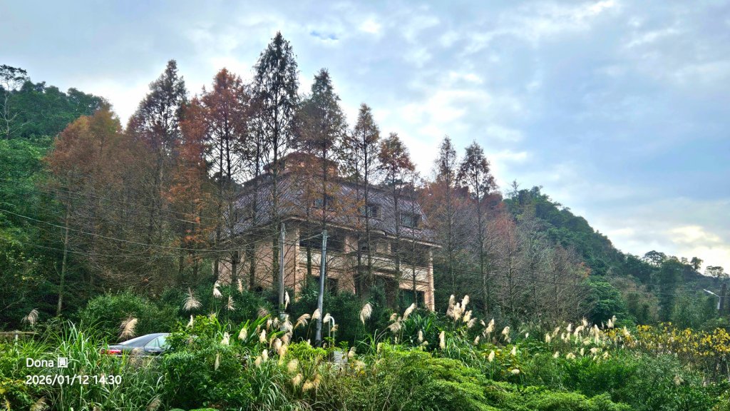 20260112月扇湖山&四分子古道O走+烏塗溪步道_2986646