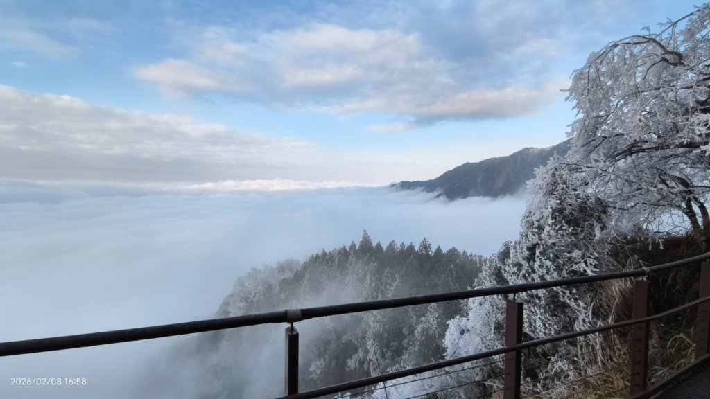 #霧淞 #雲海 #雲瀑 #霧虹 #太平山 #望洋山 #觀雲步道 #翠峰道路  2/8_2995295