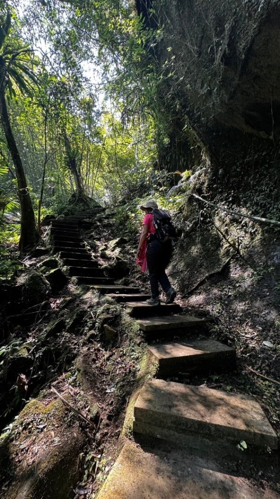 孝子山、普陀山、慈母峰賞鹿子野百合O走_2592918