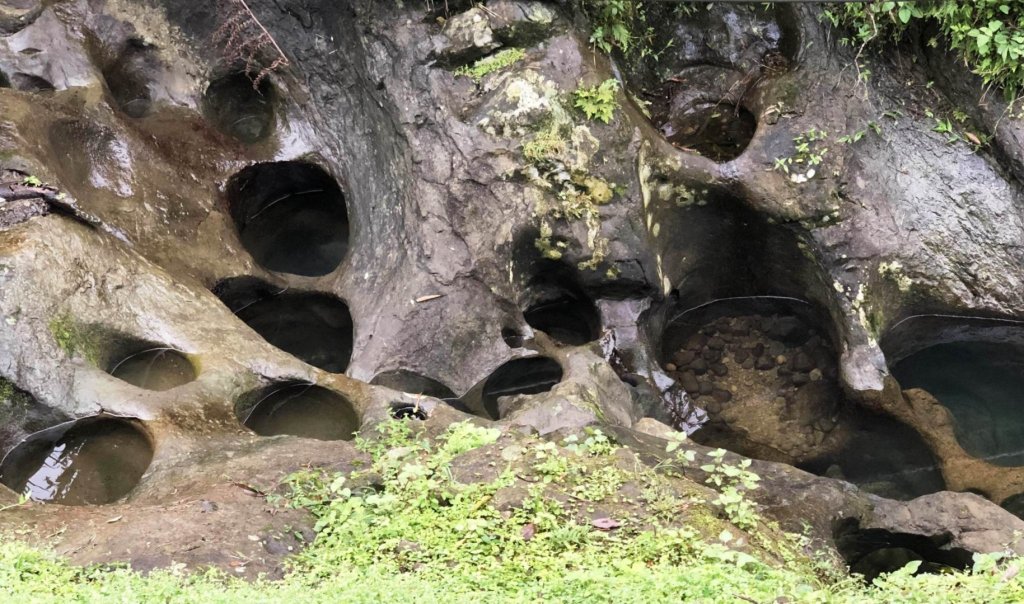 整理往平溪峰頭尖的山路1_818417