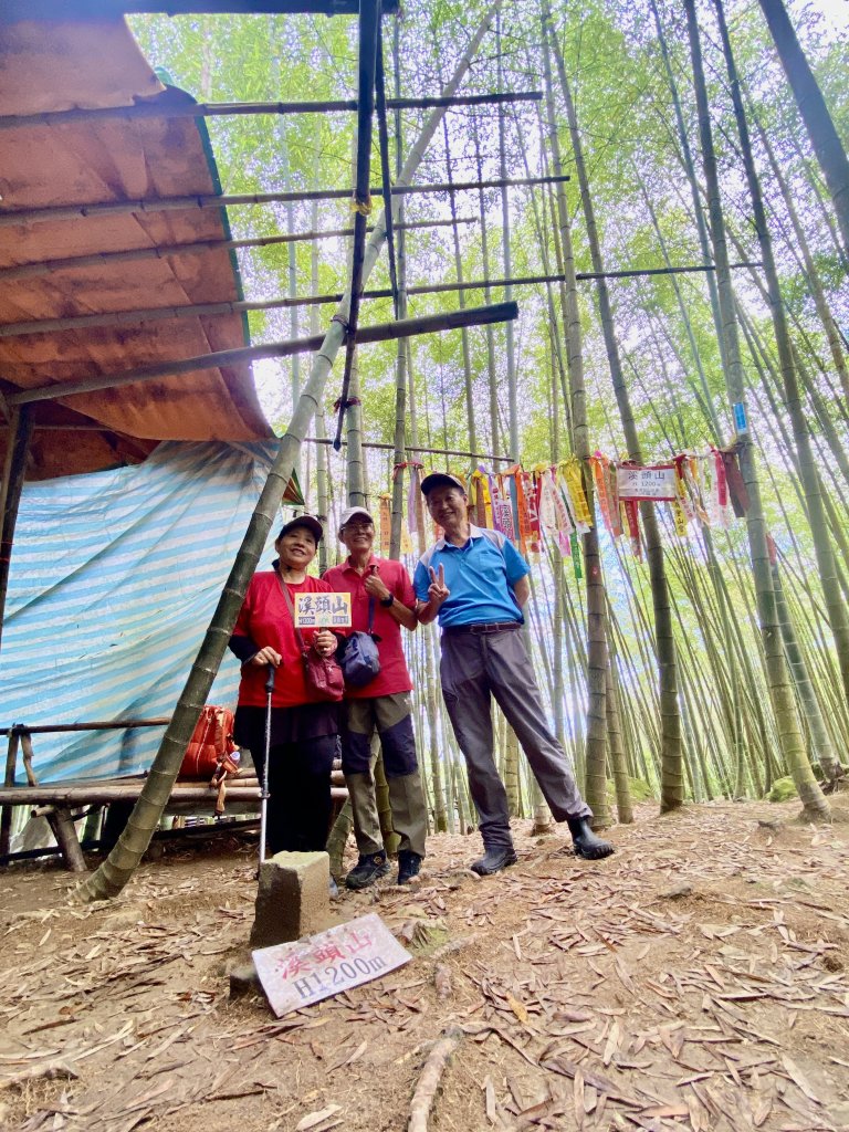 溪頭山、竹崙山、志騰山三山O型順撿內湖山  2024/5/31封面圖