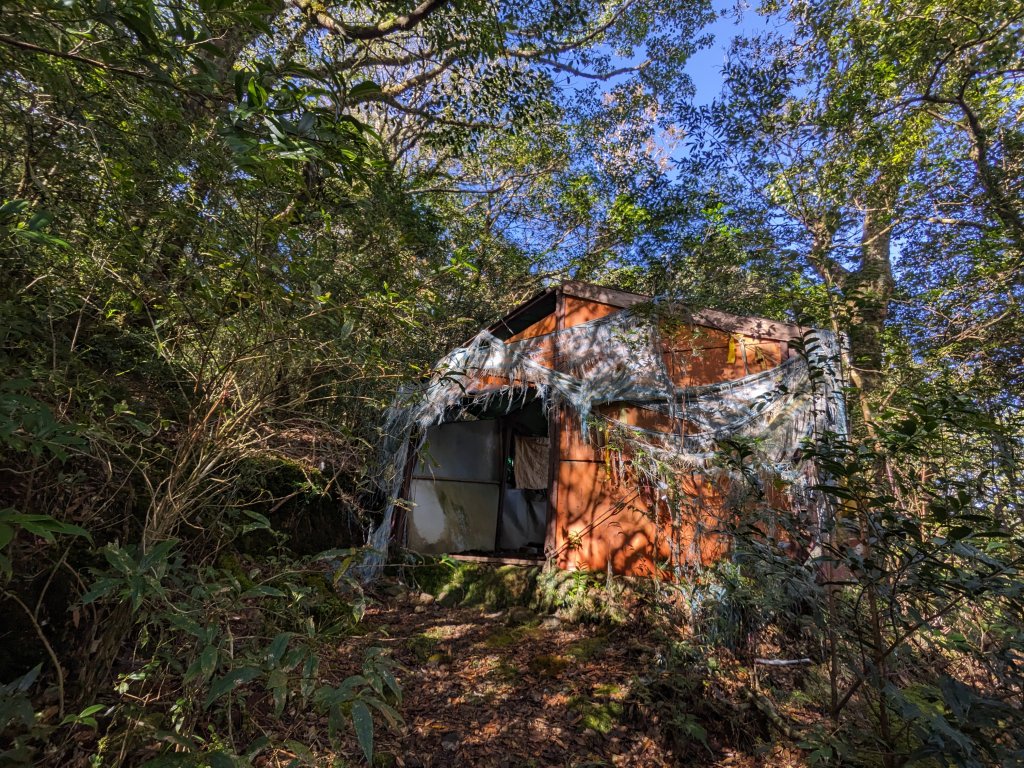 魯培山南插天山_2357464