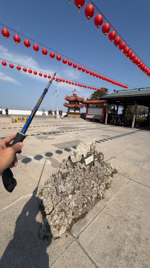尋仙、鑽洞、啖肥雞_3002783