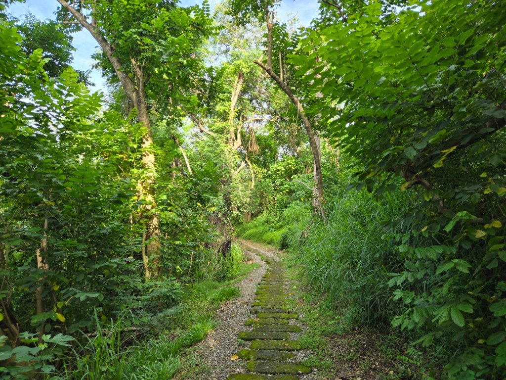 虎頭埤環湖步道（新化虎頭山）_2890912