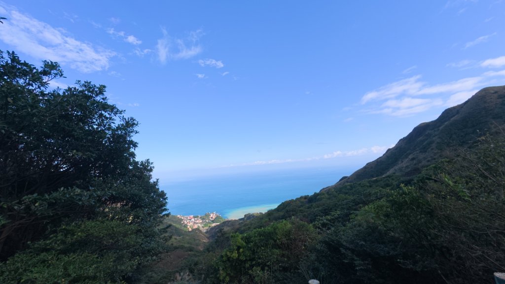 黃金三稜賞芒花封面圖