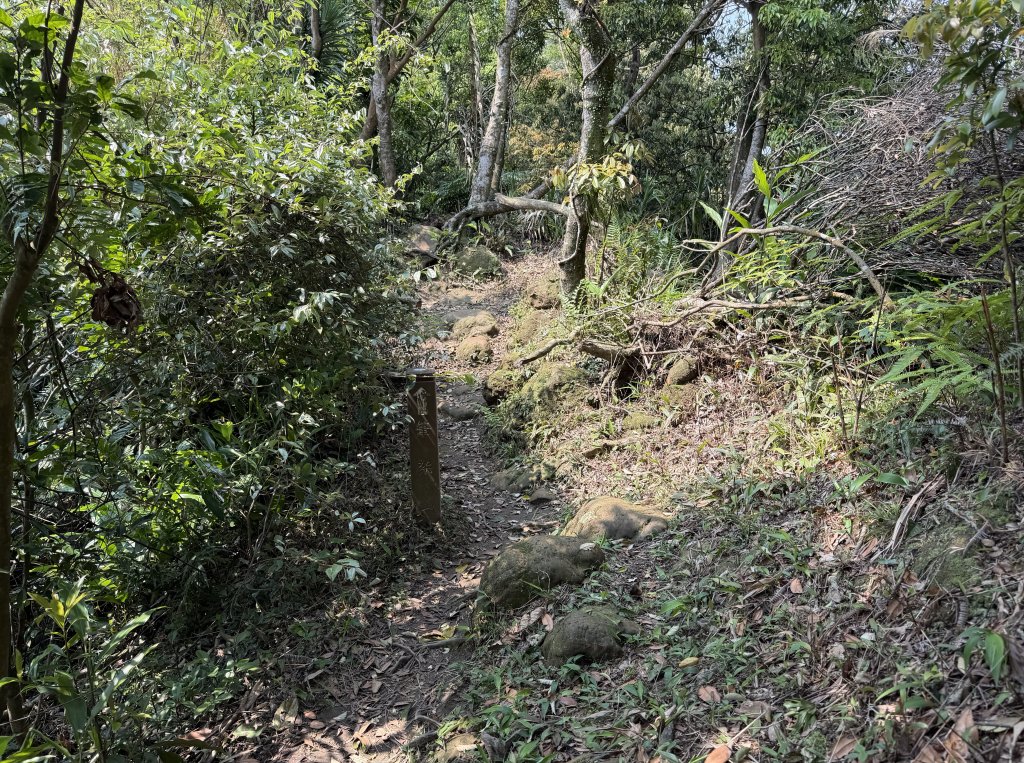 [微笑山線_第八段] 2026_0411 二格山系_筆架山北峰_3035121
