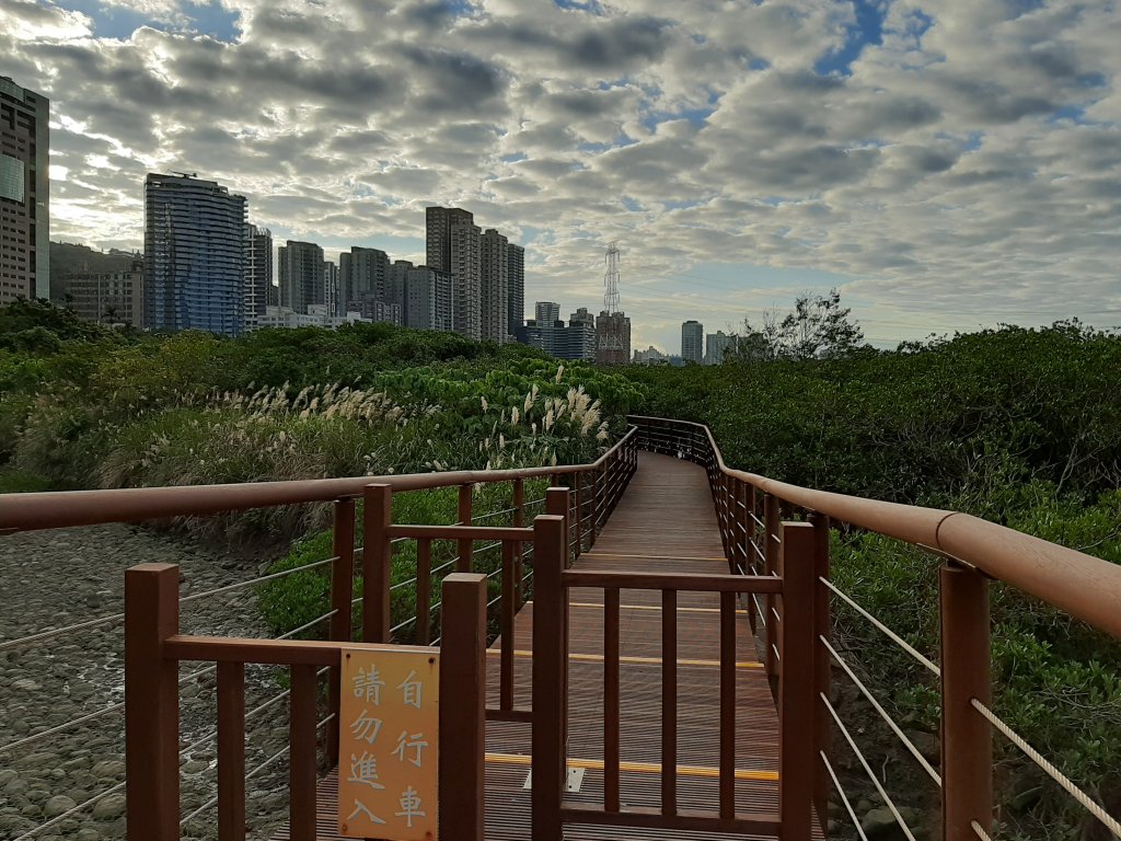 紅樹林生態步道 - 全臺最大的水筆仔森林_776003
