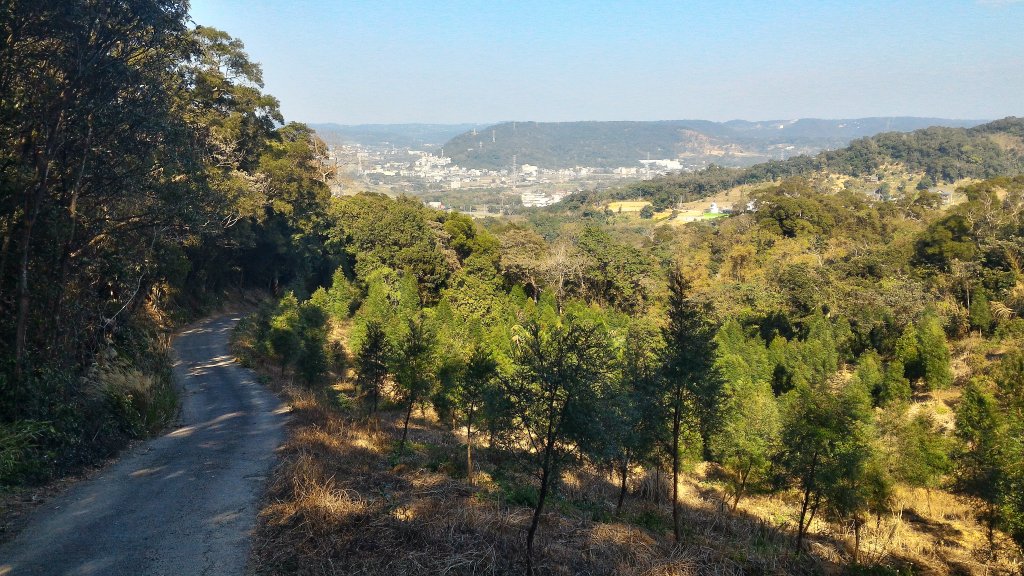 石頭坑山封面圖