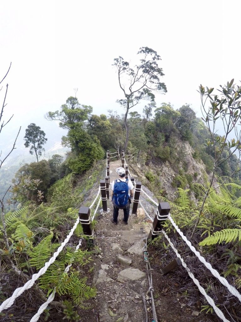 谷關七雄 白毛山_116937