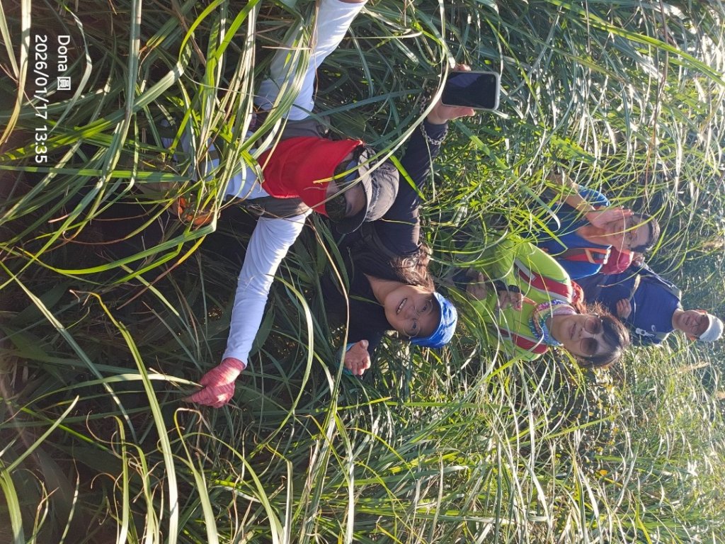 20260117淡蘭北路三段隆嶺古道+雪山尾稜北段+福卯古道大O走_2990128