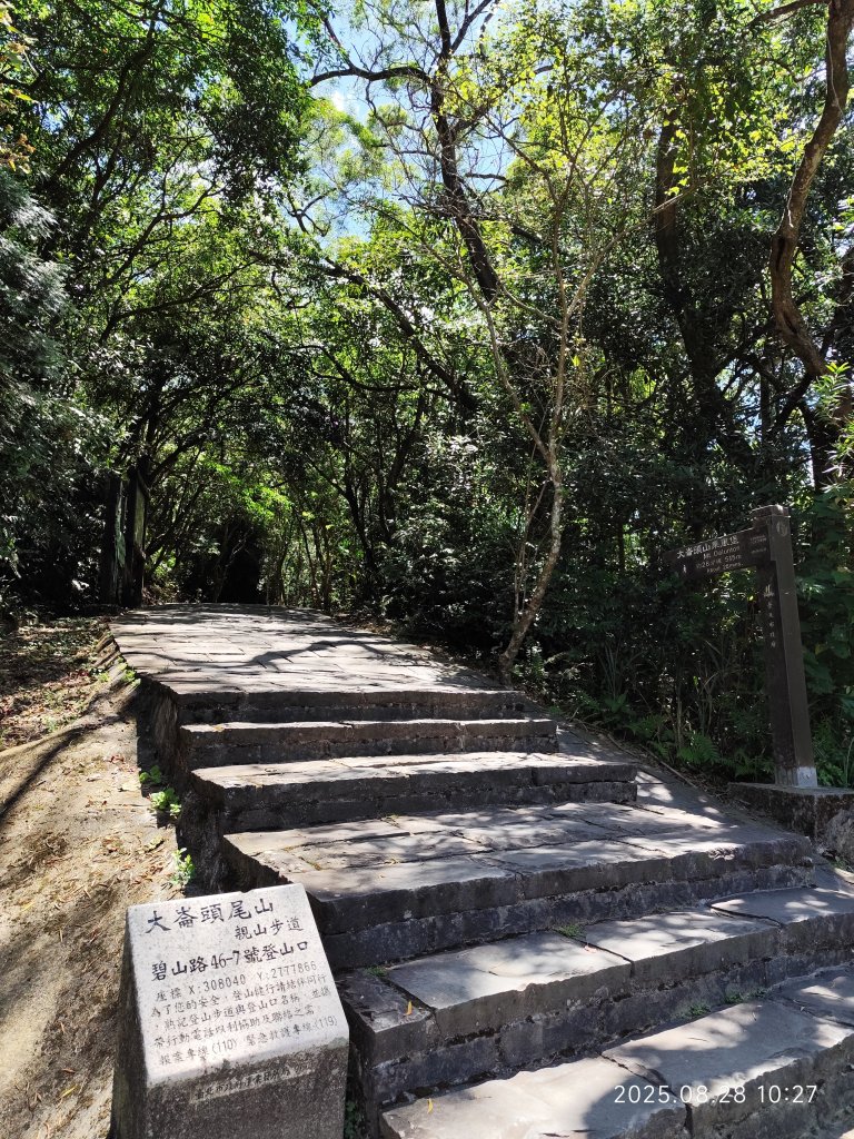 翠山步道、大崙頭尾山親山步道【臺北健走趣】_2874329