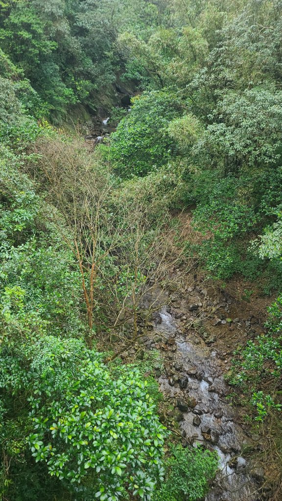 2025-01232淡蘭古道北二段(燦光寮古道到澳底)_2696570