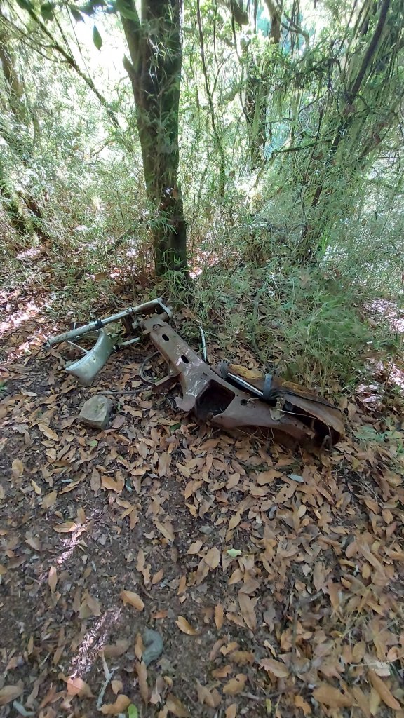 111/07/23畢羊縱走DAY 1(大禹嶺-820林道-畢祿山-鋸東山屋)_1777415