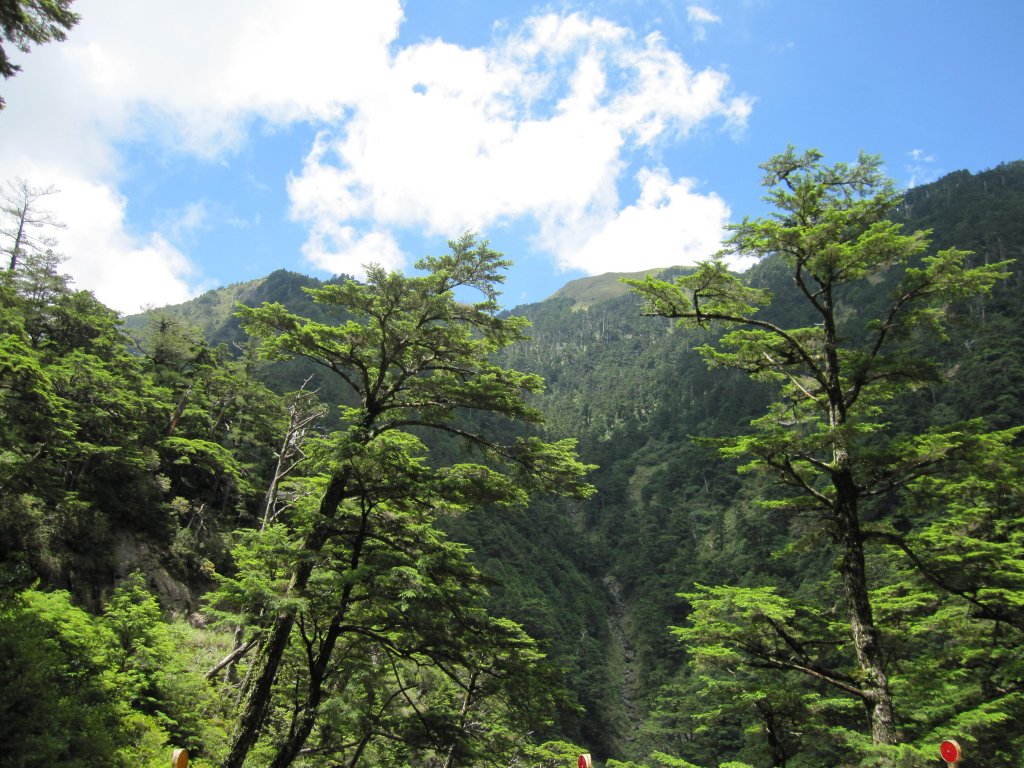 處處都是美景的合歡溪步道_1026123