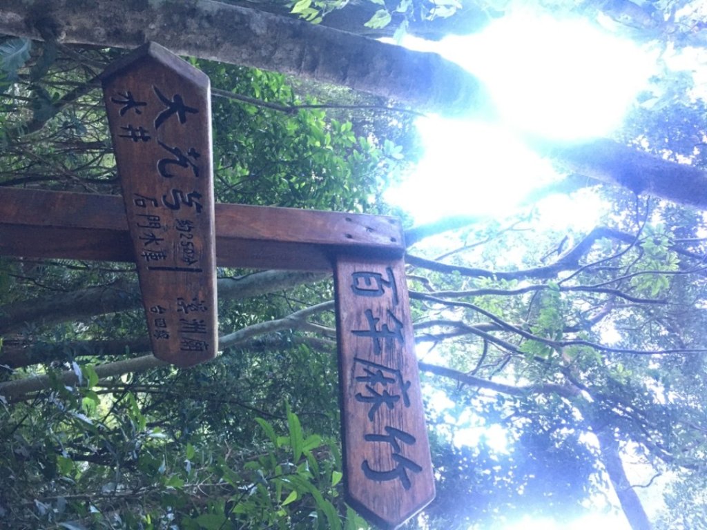 溪洲山、頭寮山_2653074