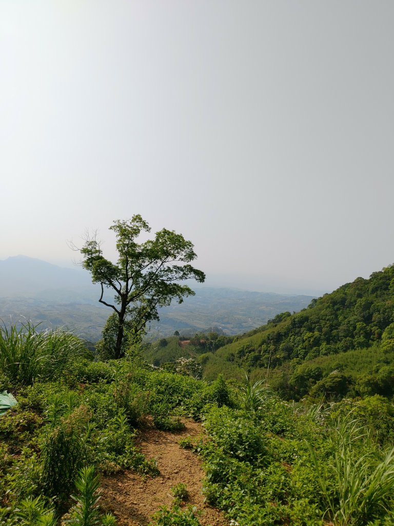 出關古道：聖關段(關刀山步道)_2144925