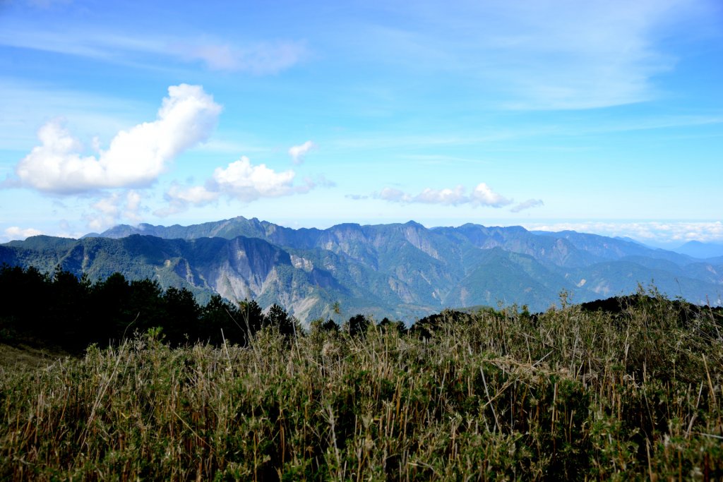 鹿林前山—鹿林山—麟趾山 O 繞_1930885