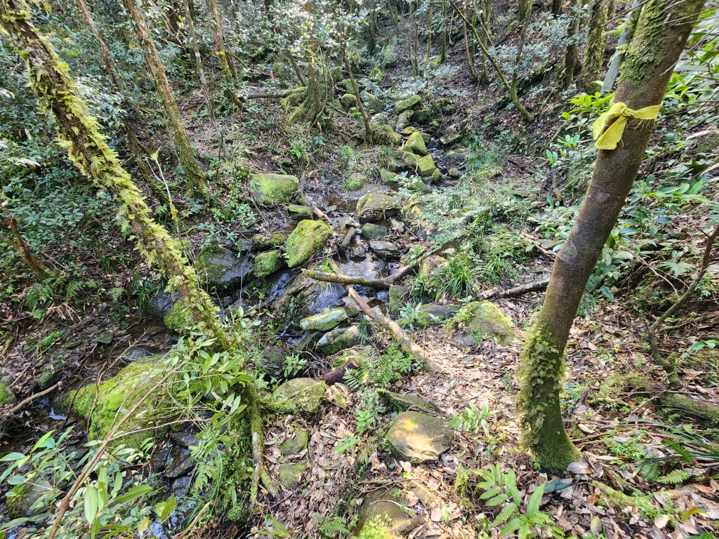 20250302樂佩山_2754733