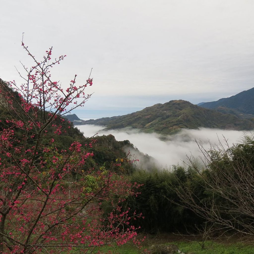 馬那邦山(珠湖線來回)_375004