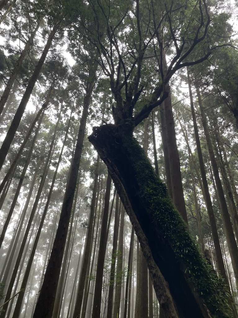 民都有山_2877342