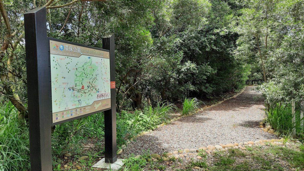 《台中》綠蔭夏蟬｜大肚環保公園登山步道O型20220626_1745184