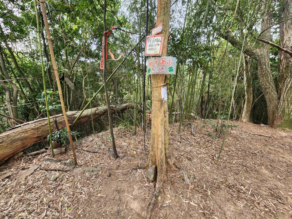 20260223柯子湖山菜堂山尖山沙湖壢山與寶山水庫基石_3012598