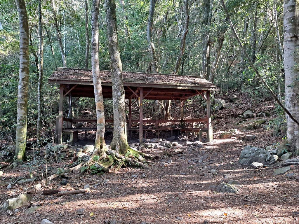 馬崙山(斯可巴步道O繞)_1983144